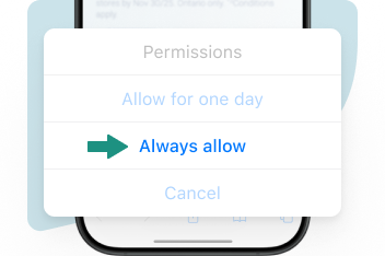 Safari’s permission manager emphasizing option “Always allow”