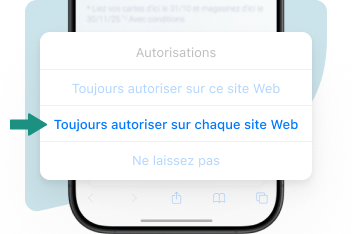 Gestionnaire d'autorisations Safari mettant l'accent sur l'option «  Toujours autoriser sur chaque site Web »