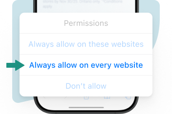 Safari’s permission manager emphasizing option “Always allow on every website”